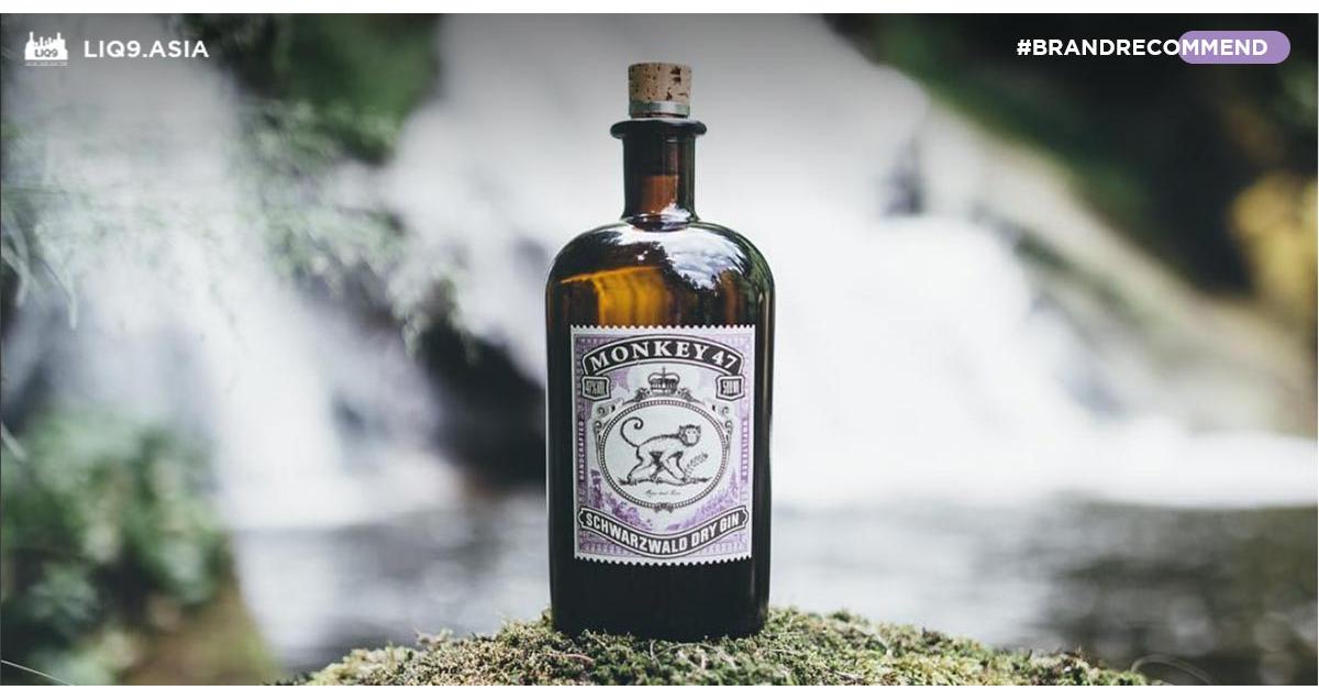 Monkey 47 อีกหนึ่งฉลาก Gin ที่ดีที่สุดของโลก