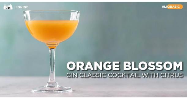 Orange Blossom | คลาสสิก กลิ่นส้มสดชื่น ผสานจินหอมสมุนไพร