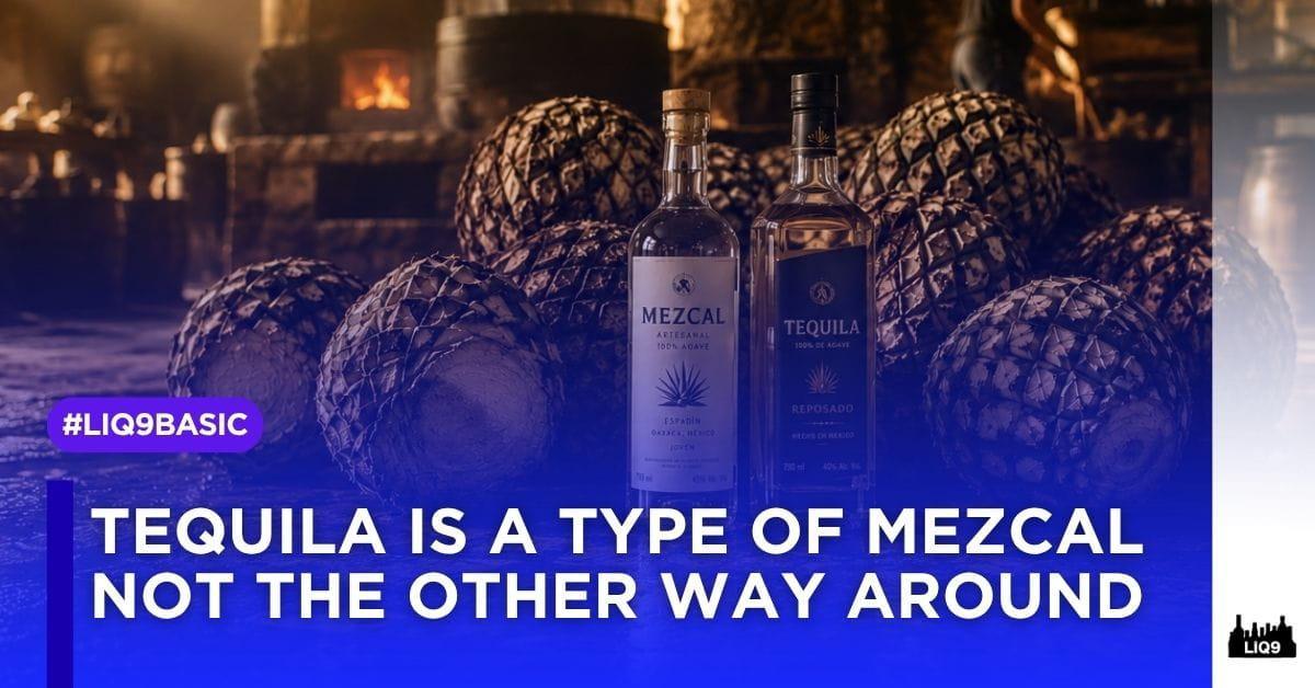Agave 101