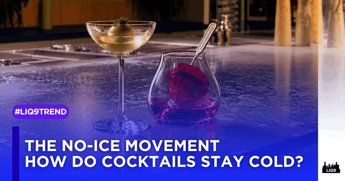 the-no-ice-movement-de-vie-bar-paris