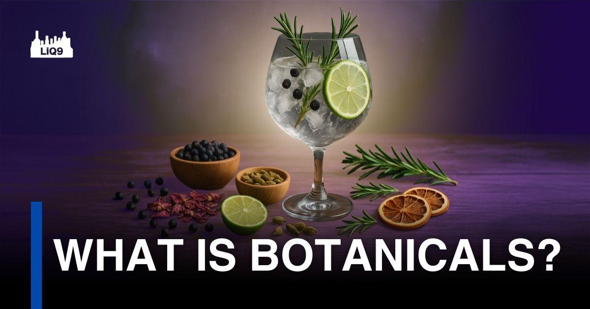 Botanicals คืออะไร? ทำไมจินถึงมีกลิ่นหลายแบบ