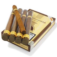 Guatemala Cristales (5 Sticks per Box)